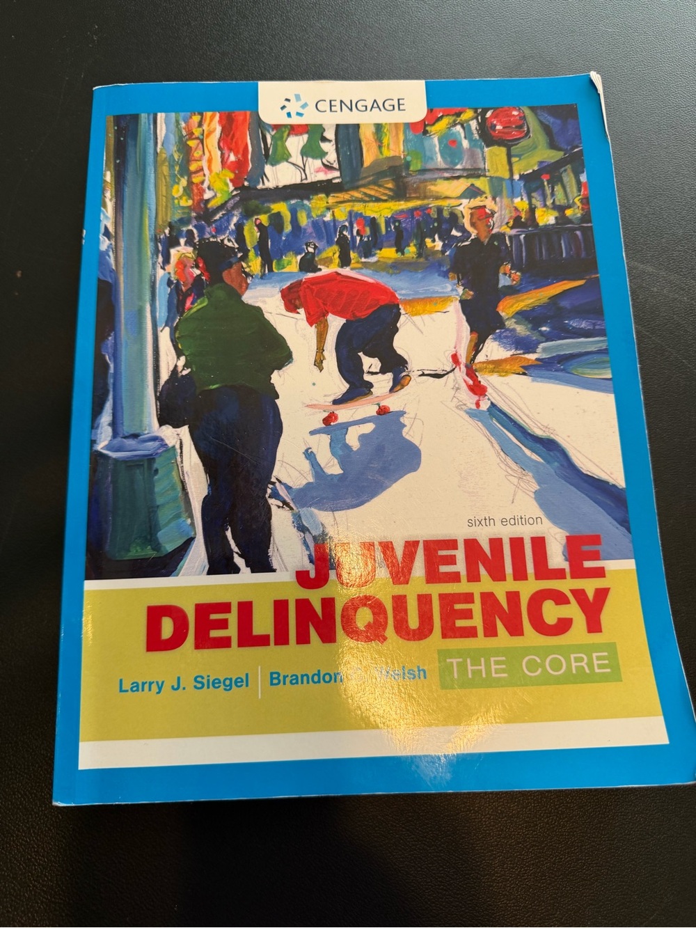 Juvenile Delinquency Textbook - Blue/Red Cover